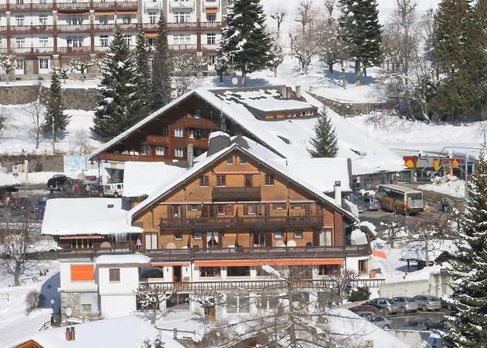 Hotel Alpe Fleurie Hôtel&restaurant