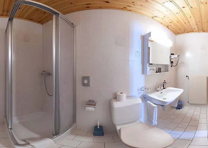 Hotel Alpe Fleurie Hôtel&restaurant 3*